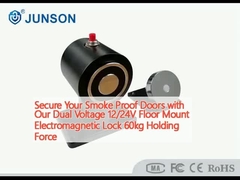 Ασφαλίστε τις πόρτες σας με την διπλή τάση 12/24V ηλεκτρομαγνητική κλειδαριά 60kg